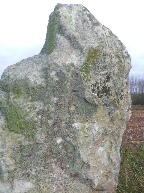 Hirdrefaig (Standing Stone / Menhir) by blossom