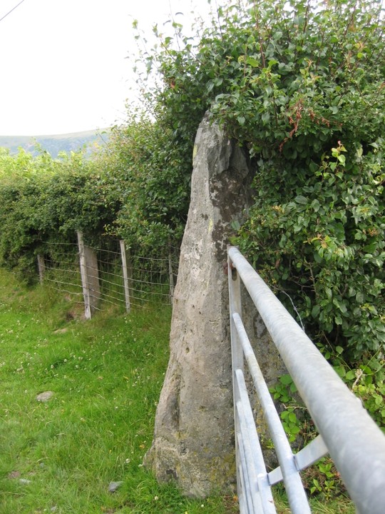 Caerberllan Farm (Standing Stone / Menhir) by Meic