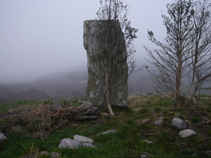 Leitrim Beg (Standing Stone / Menhir) by Meic