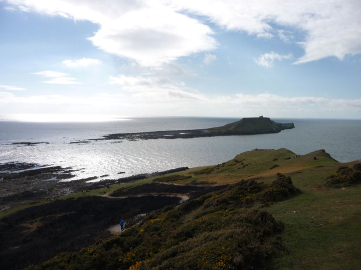 Worm's Head (Enclosure) by thesweetcheat