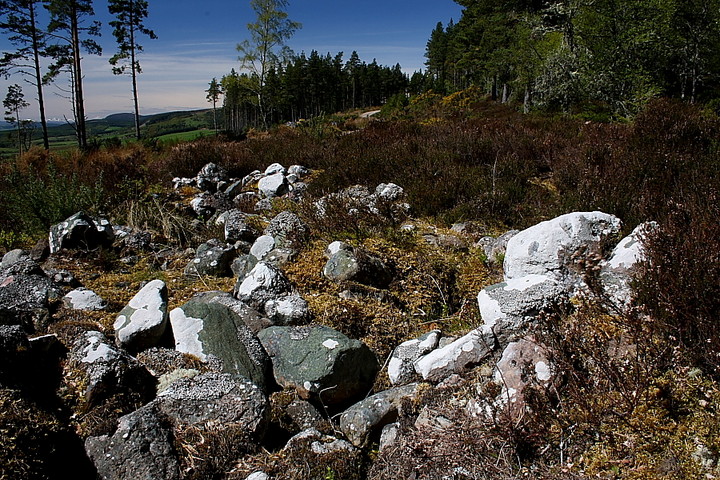 Scotsburn Wood Cairn 3 (Chambered Cairn) by GLADMAN