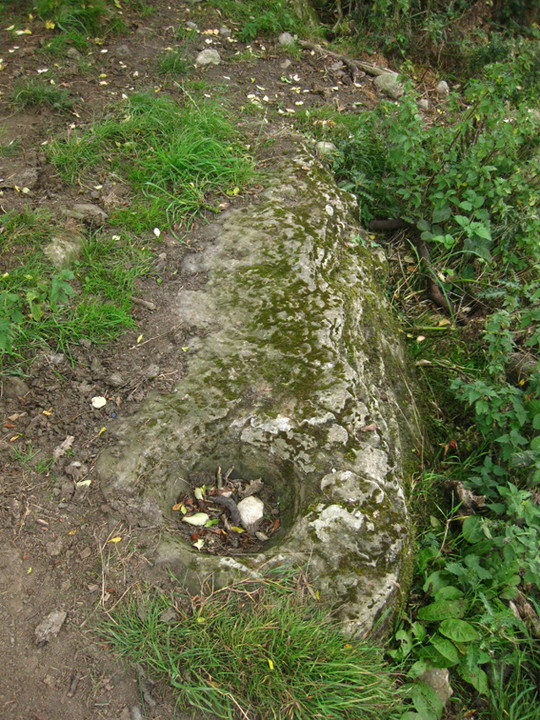 Kileenmore (Bullaun Stone) by ryaner