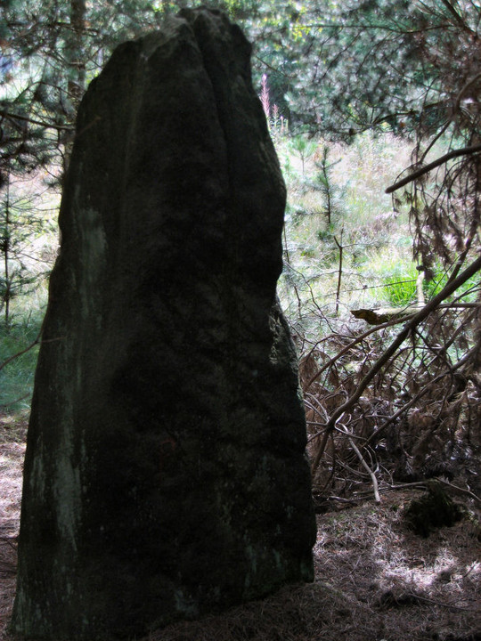 Farley Moor (Standing Stone / Menhir) by stubob