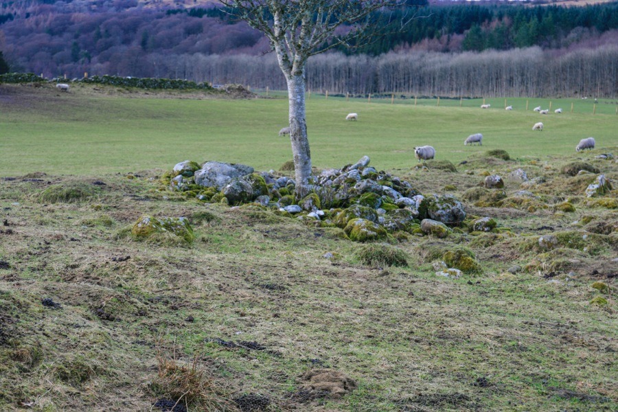 Auchenlaich Cairn (Chambered Cairn) by BigSweetie