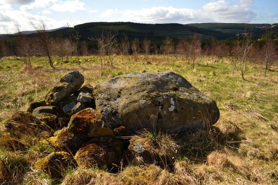 Hill Of Old Merdrum (Cup Marked Stone) by thelonious