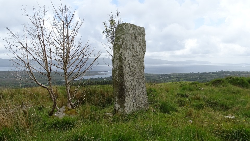 Leitrim Beg (Standing Stone / Menhir) by Nucleus