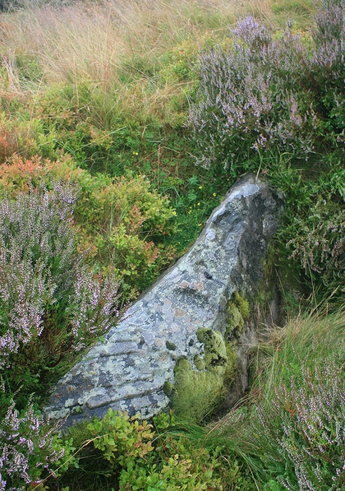 Meuryn Isaf (Kerbed Cairn) by postman