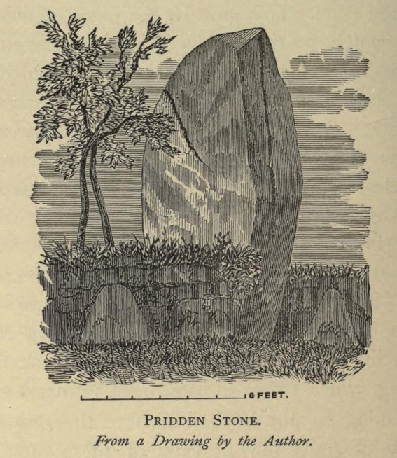 Pridden (Standing Stone / Menhir) by Rhiannon