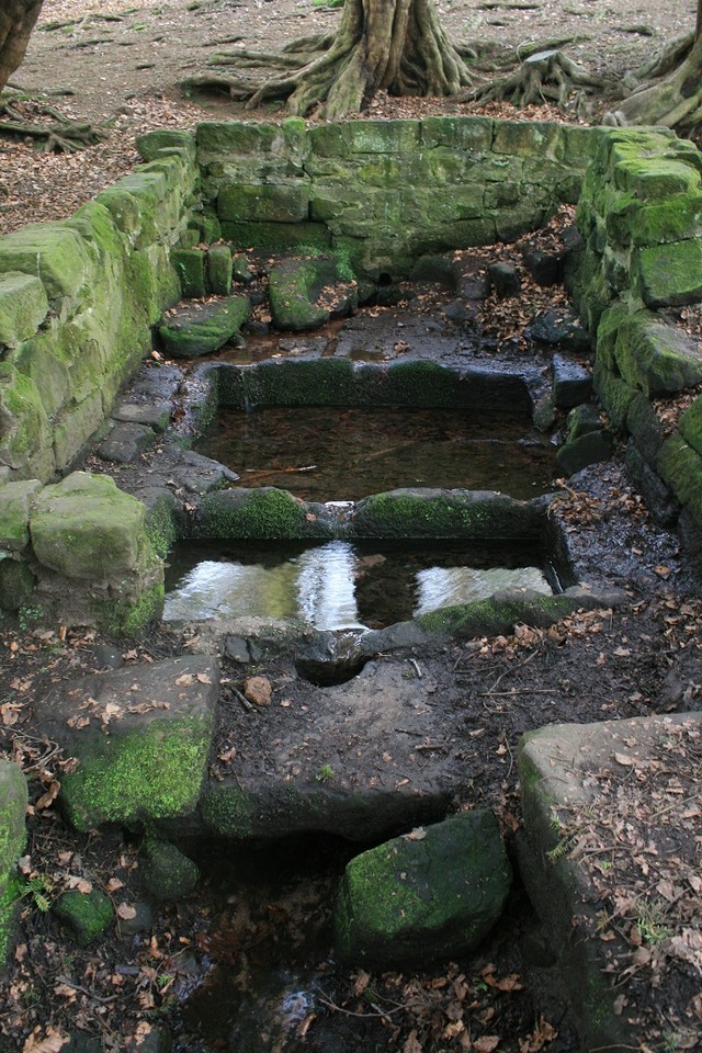 Gawton's Well (Sacred Well) by postman