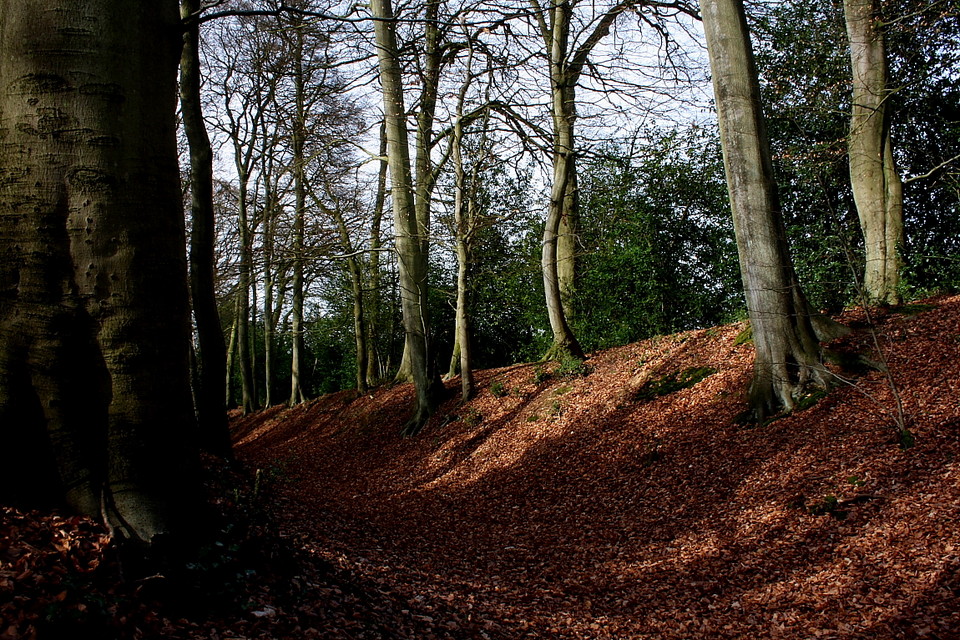 Cholesbury Camp (Hillfort) by GLADMAN