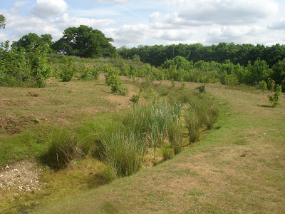 Springfield Lyons Causewayed Enclosure (Causewayed Enclosure) by moss