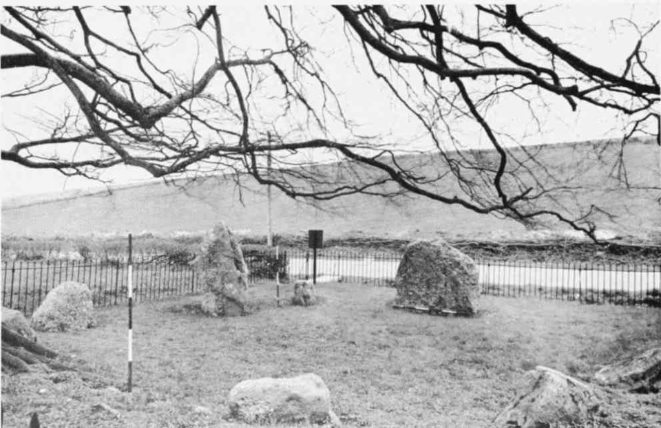 The Nine Stones of Winterbourne Abbas (Stone Circle) by Chance