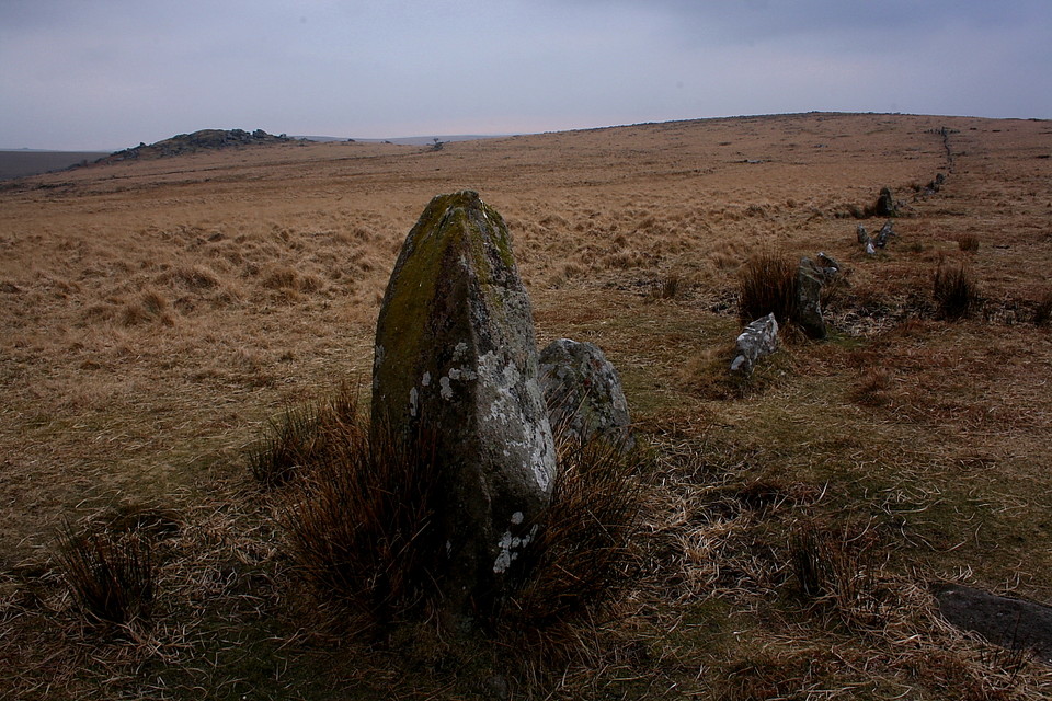 Down Tor (Stone Row / Alignment) by GLADMAN