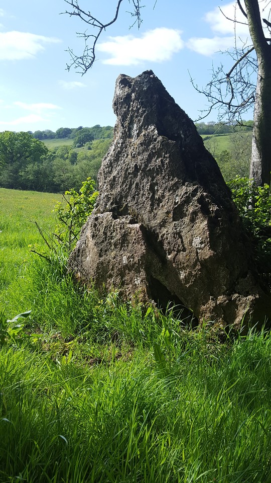 The Wimblestone (Standing Stone / Menhir) by Jenny King