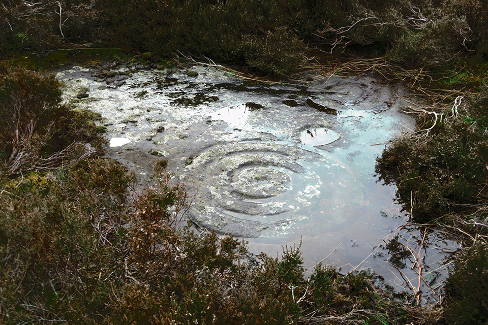 Doddington Moor Quarry Site (Cup and Ring Marks / Rock Art) by thelonious