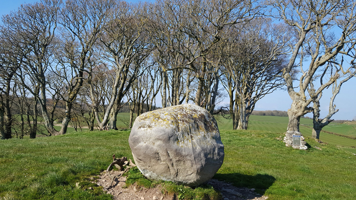 The Wren's Egg & Nest (Standing Stones) by Zeb