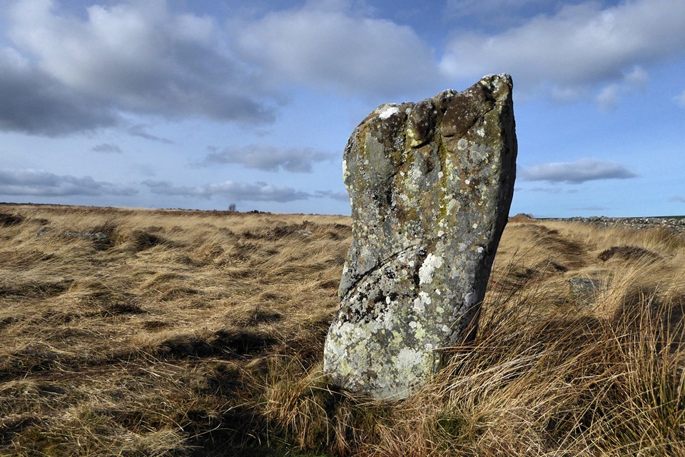 Doddington Stone Circle (Stone Circle) by thesweetcheat