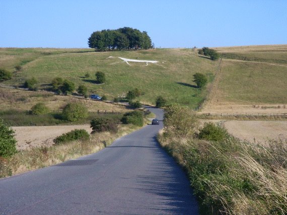 Hackpen Hill (Wiltshire) by Jane