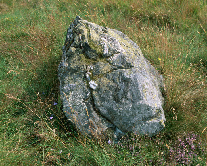 Na Carraigean (Stone Circle) by Ian Murray