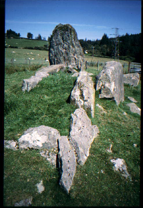 Brackley (Chambered Tomb) by greywether