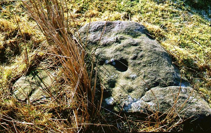Barbrook II (Stone Circle) by fitzcoraldo