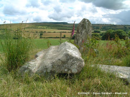 Dyffryn Stones (Ring Cairn) by Kammer