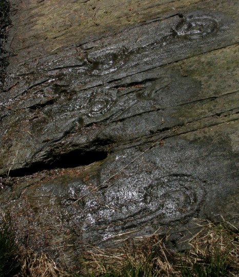 Stronach Wood (Cup and Ring Marks / Rock Art) by greywether