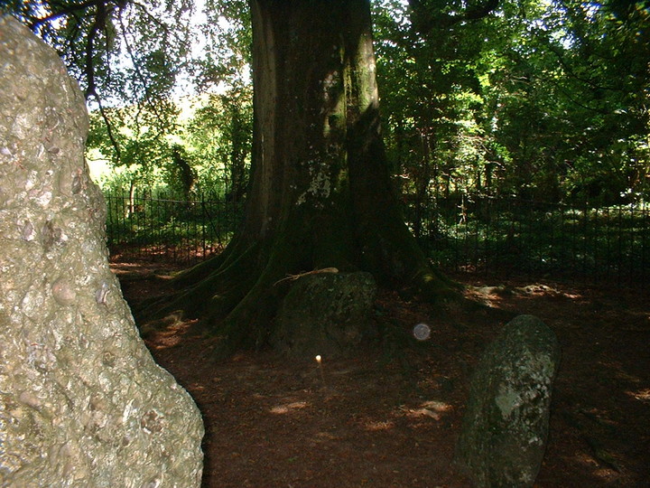 The Nine Stones of Winterbourne Abbas (Stone Circle) by ODALO