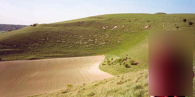 Cley Hill (Hillfort) by Mothy