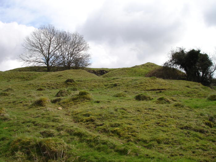 Little Solsbury Hill (Hillfort) by moss