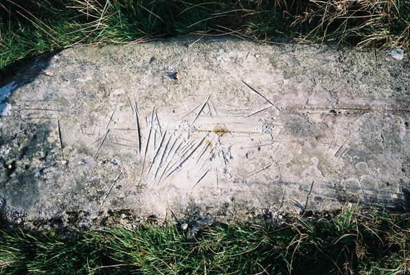 Arrow Stone SW of Cammarnaint (Carving) by Idwal