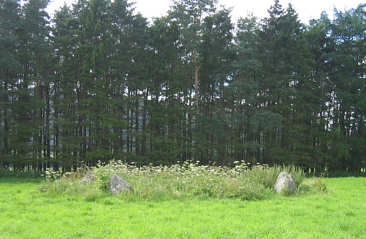 Fortingall (Stone Circle) by fitzcoraldo