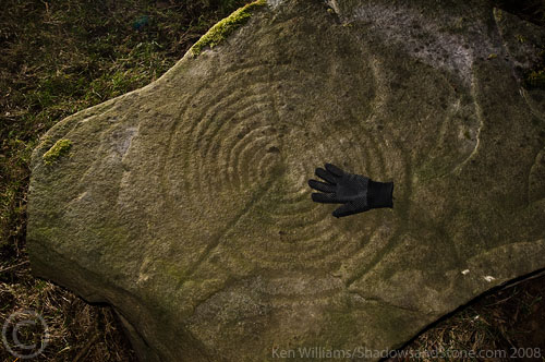 Drumcarbit (Cup and Ring Marks / Rock Art) by CianMcLiam