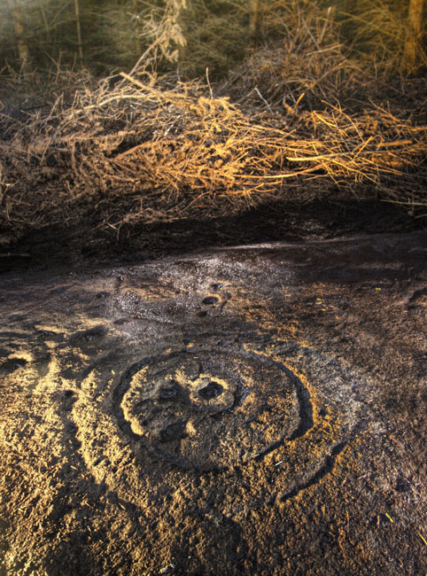Amerside Law (Cup and Ring Marks / Rock Art) by Hob