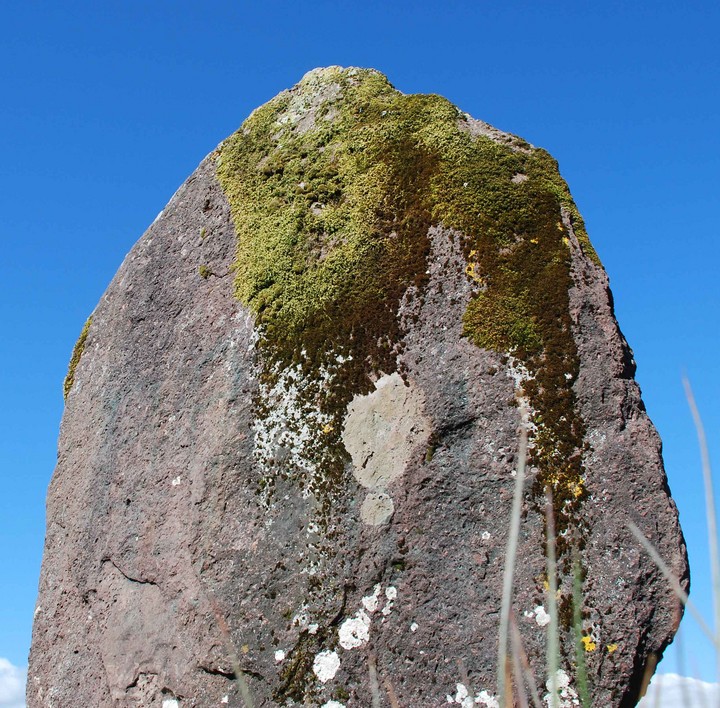 Maen Llia (Standing Stone / Menhir) by caealun