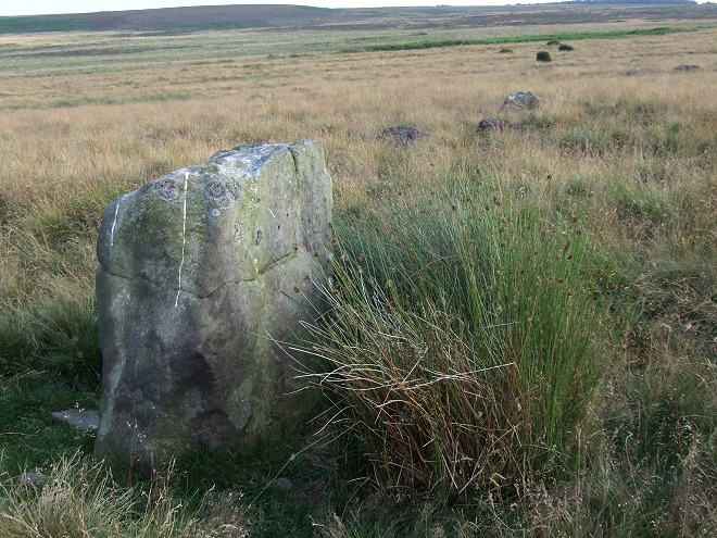 Gibbet Alignment (Stone Row / Alignment) by Chris Collyer