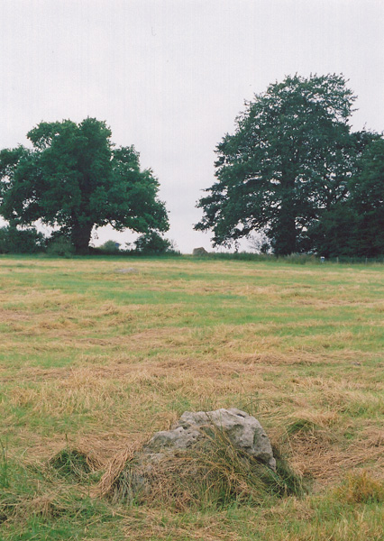Winterbourne Bassett (Stone Circle) by stewartb