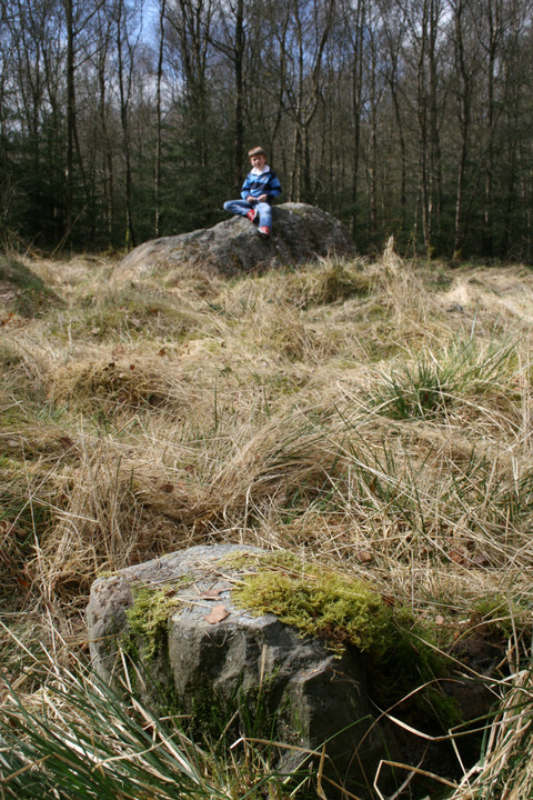 Maen Llwyd (Cloceinog) (Standing Stone / Menhir) by postman