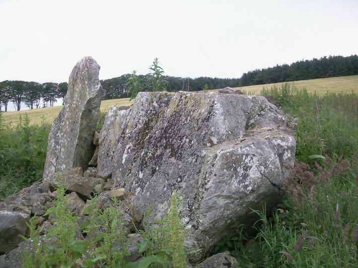 Cairnton (Stone Circle) by drewbhoy