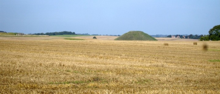 Silbury Hill (Artificial Mound) by moss