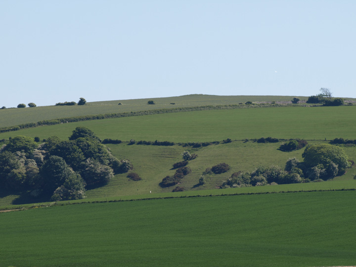 Ridgeway Hill (Round Barrow(s)) by formicaant