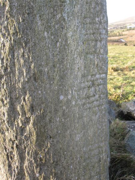 Aghascrebagh (Standing Stone / Menhir) by bogman