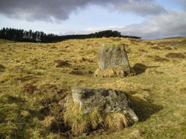 Fincastle Farm (Standing Stones) by tiompan