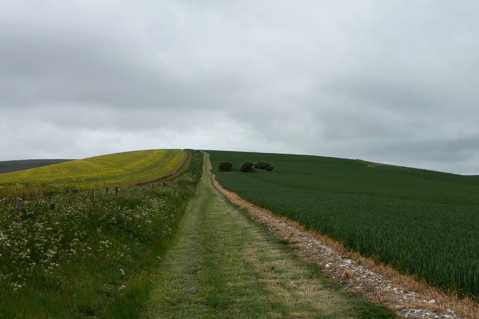 Allington Down (Round Barrow(s)) by thesweetcheat
