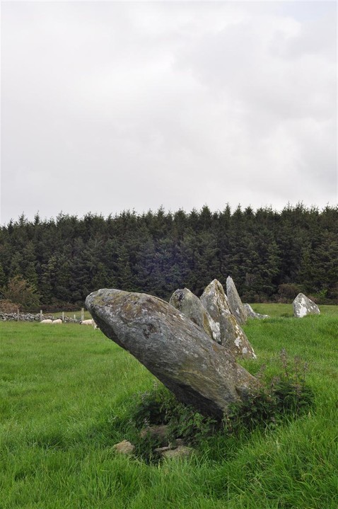 Beltany (Stone Circle) by bogman