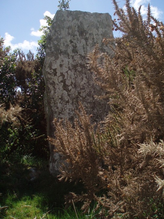 Leitrim Beg (Standing Stone / Menhir) by stonemad