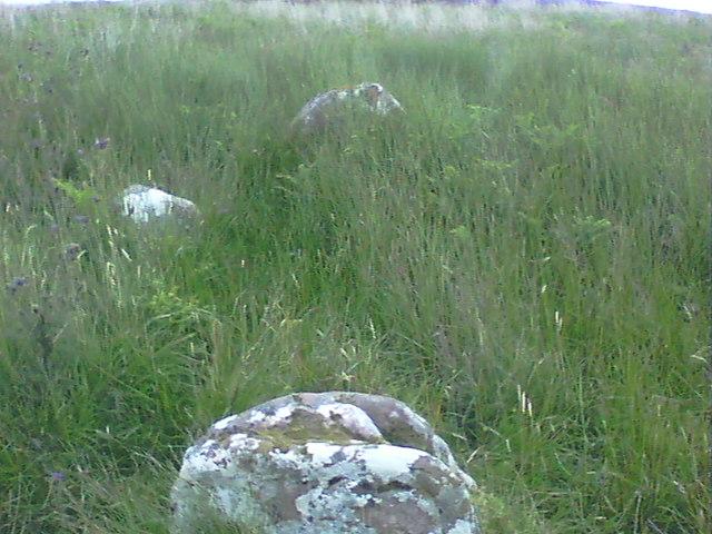 Allt Cul Corriehiam 2 (Stone Circle) by Howburn Digger