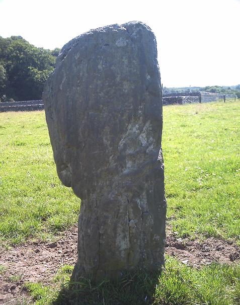 Harper's Hill (Standing Stone / Menhir) by Howburn Digger