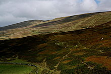 <b>Mynydd Llysiau, Black Mountains</b>Posted by GLADMAN
