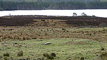 <b>Drumashie Moor</b>Posted by thesweetcheat